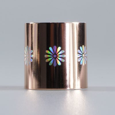 Hot stamping holograf